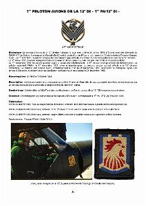 610 LES INSIGNES DE L ALAT EN AFN PAR CHRISTIAN MALCROS_000035